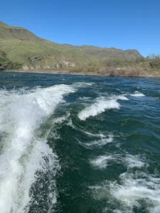 Ask about Salmon River Jet Boat rides.