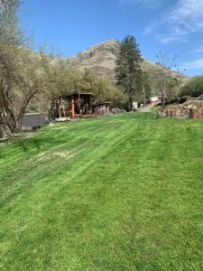 Beautifully manicured lawn and Driftwood Stage