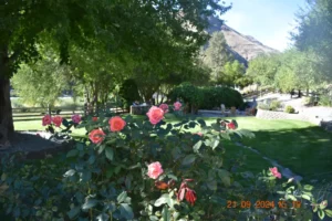 Rose garden below the main wedding venue area