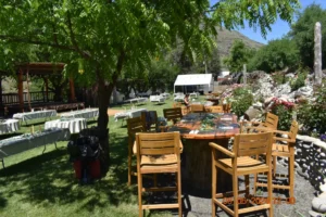 Tables setup for a forthcoming wedding ceremony and celebration