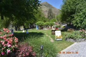 River View Cabins idaho on the Salmon River hosts Weddings